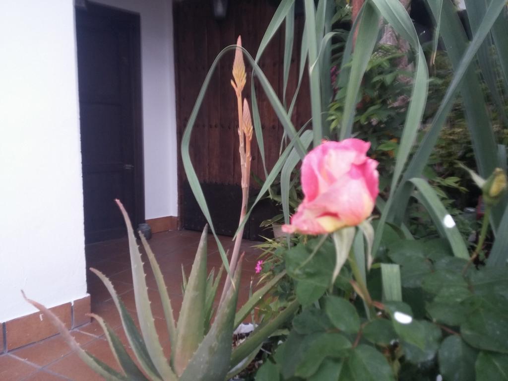 Balcon Del Velillos-"Rincon De Marcelo" Tozar Dış mekan fotoğraf