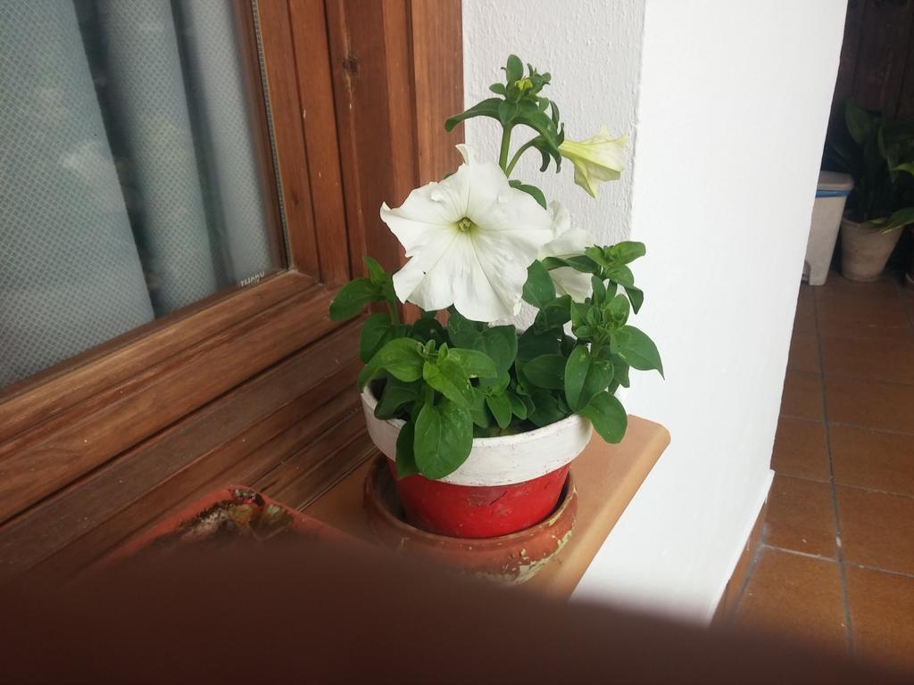 Balcon Del Velillos-"Rincon De Marcelo" Tozar Dış mekan fotoğraf
