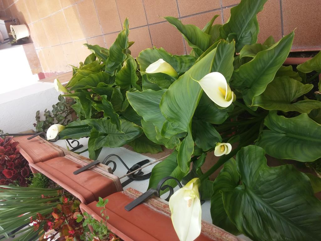 Balcon Del Velillos-"Rincon De Marcelo" Tozar Dış mekan fotoğraf